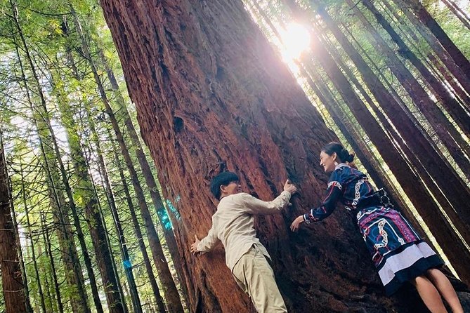 Rotorua Private Tour With Hotspring - Exclusive Hotspring Experience