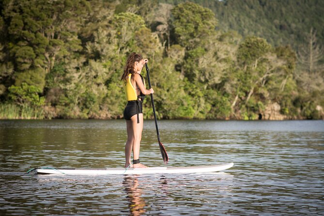Rotorua Stand-Up Paddle Board Glow Worm Tour - Included Equipment and Services