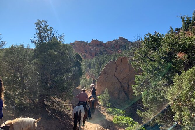 Rubys Horseback Adventures Utah Half Day Ride - Group Size Limit