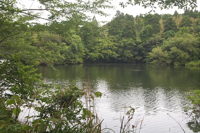 Rural Japan Cycling Tour to the Rich Nature Area in Ichinomiya - Cancellation Policy Details