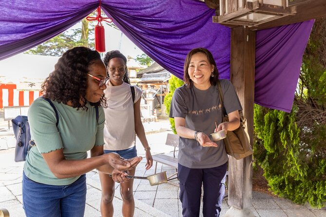 Rural Villages & Brewery Town: Private 1-Day Cycling Near Kyoto - Brewery Town Visit & Tasting Session