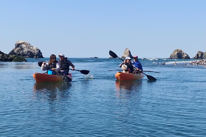 Russian River Kayak Tour at the Beautiful Sonoma Coast - COVID-19 Measures