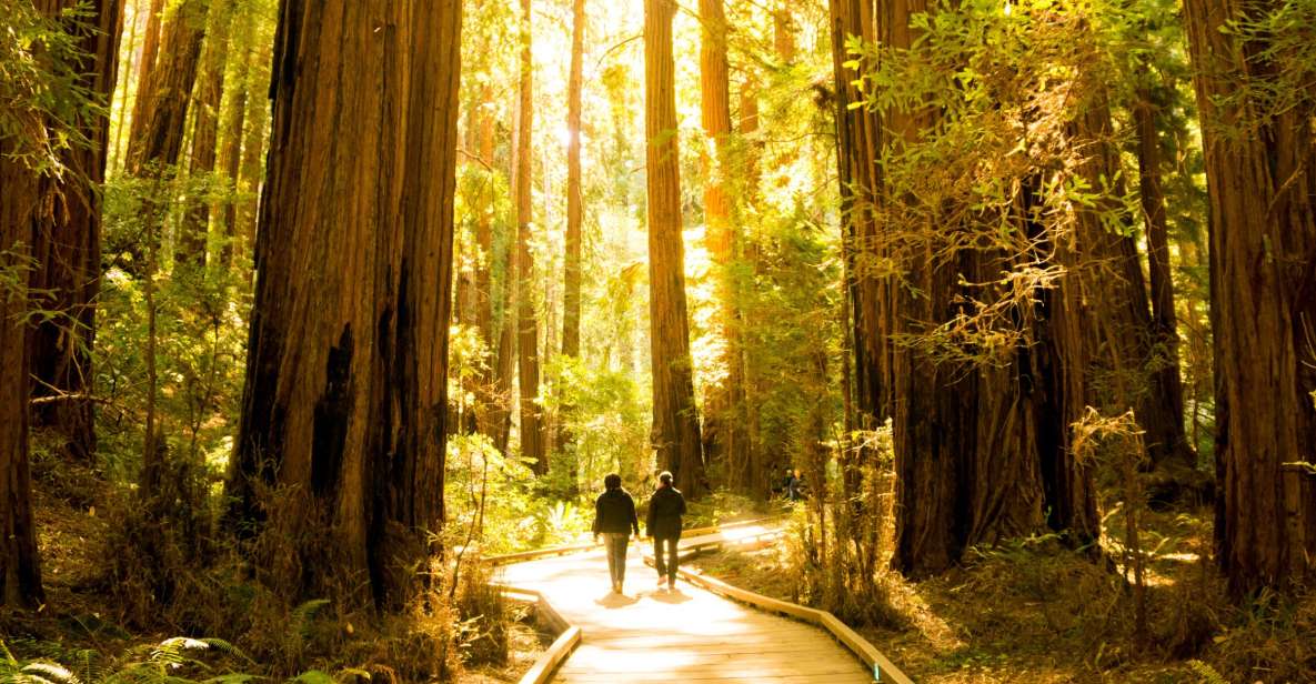 San Francisco: 1 Day Hop-On Hop-Off Muir Woods Tour - Sum Up