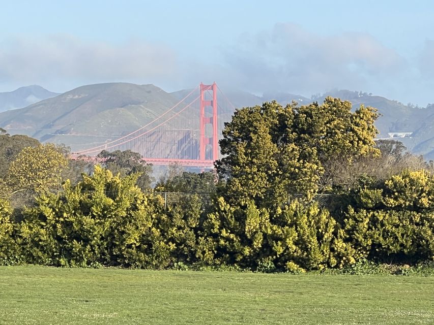 San Francisco: Major Landmarks Private Sightseeing Tour - Tour Highlights