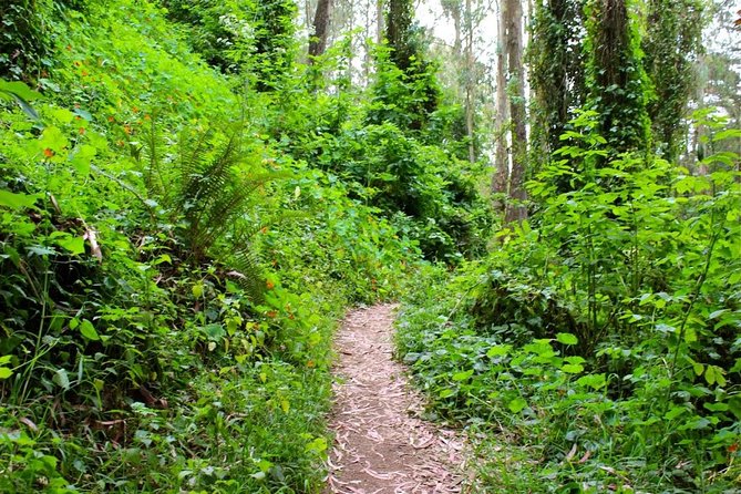 San Francisco Urban Hike: Castro and Twin Peaks - Common questions