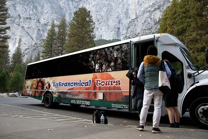 San Francisco: Yosemite National Park and Giant Sequoia Day Tour - Visitor Experiences and Reviews