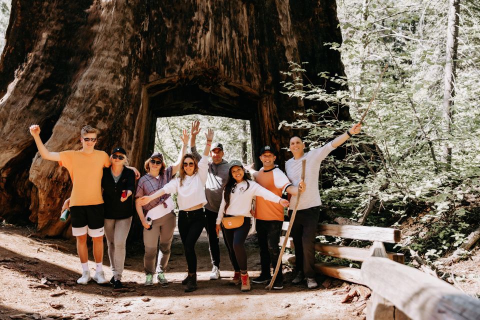 San Jose: Yosemite National Park and Giant Sequoias Trip - Full Description