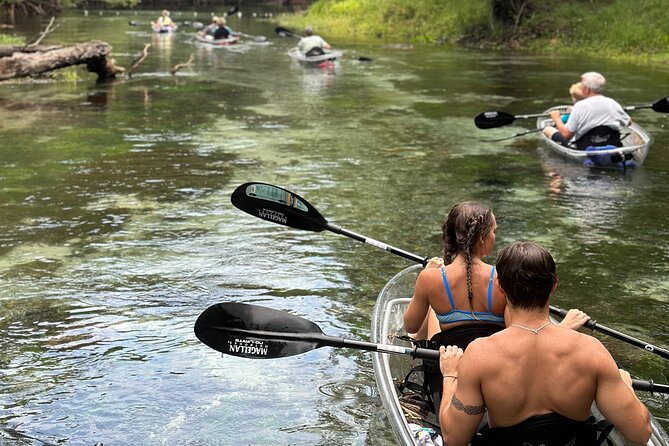 Santa Fe River Small-Group Glass-Bottom Kayaking Tour  - Florida - Equipment and Facilities
