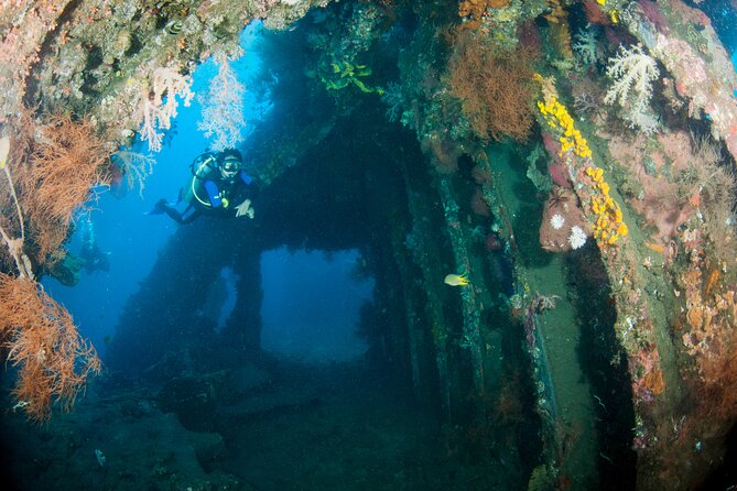 Sanur Open Water Course Learn Diving in 3 Days - Get Certified & Dive Everywhere - Diving Locations and Opportunities