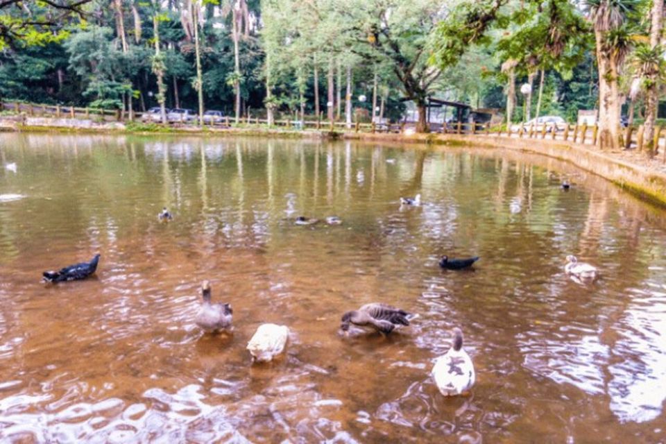 São Paulo: Atlantic Forest Hike in Jaraguá Park With Picnic - Location and Transportation