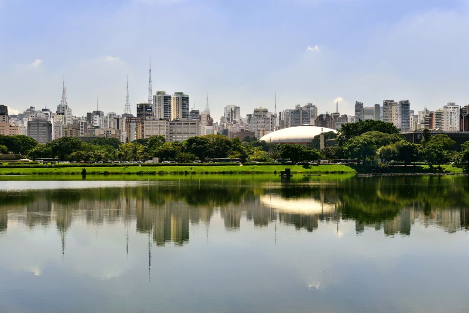 São Paulo: Full-Day Guided City Tour From the Port of Santos - Full Description