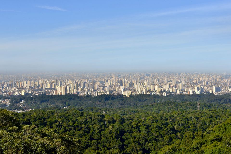 São Paulo Private Half Day Ecotour - Cantareira State Park Adventure