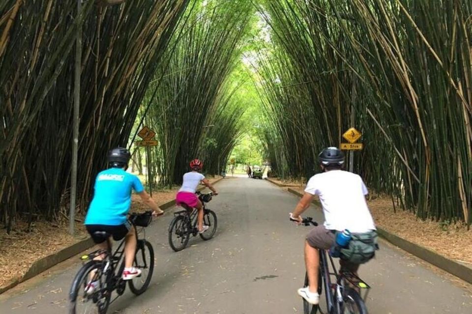 Sao Paulo: The Coolest Urban Scenes Bike Tour - Full Description