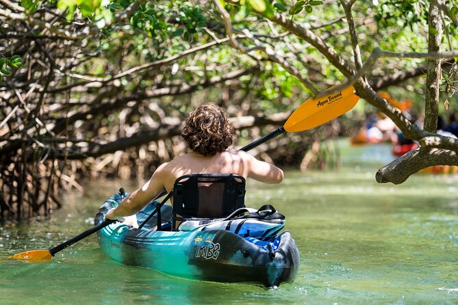 Sarasota Mangroves Kayaking Small-Group Tour - Requirements