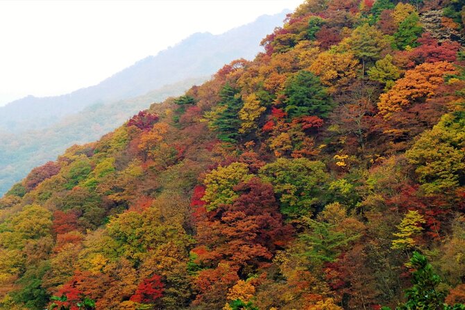 Scenic Jiri Mountain Autumn Foliage One Day Tour - Meal Inclusions
