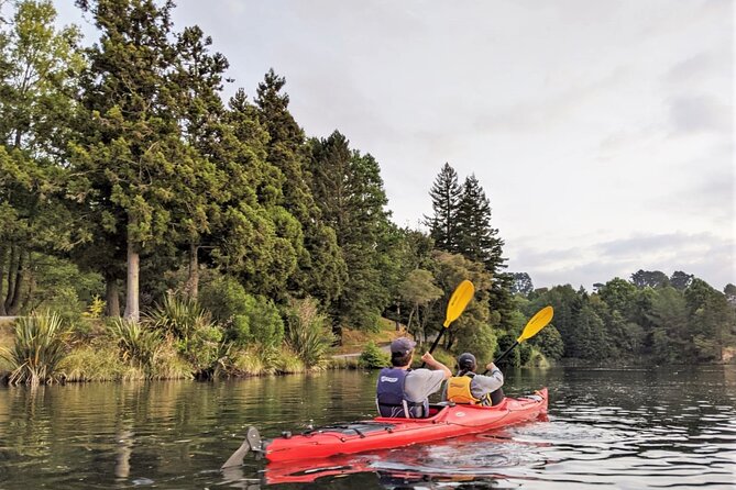 Scenic Lake McLaren Kayak Tour - Booking and Policies