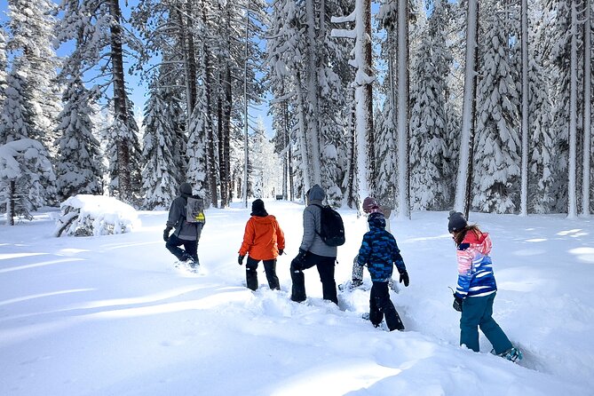 Scenic Snowshoe Adventure in South Lake Tahoe, CA - Accessibility Information