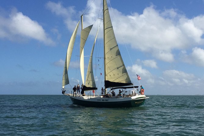 Schooner Clearwater- Afternoon Sailing Cruise-Clearwater Beach - Important Information and Restrictions