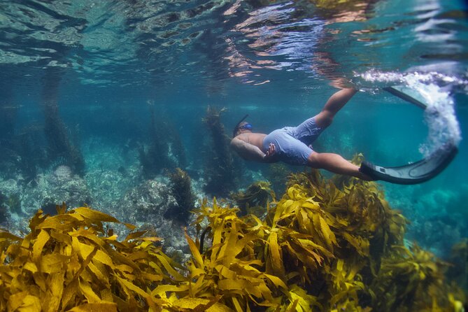 Sea Cave Adventures in Whitianga - Meeting and Pickup Information