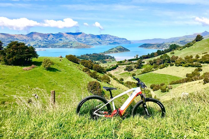 Sea to Summit- Electric Mountain Biking Tour in Akaroa - Cancellation Policy and Refunds