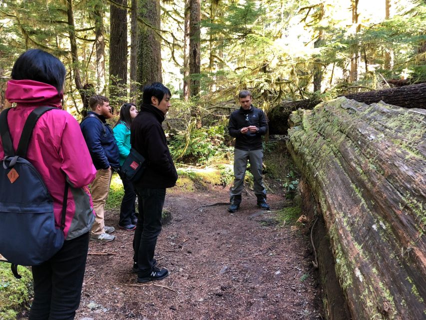 Seattle: Longmire in Mount Rainier Winter Day Tour - Inclusions