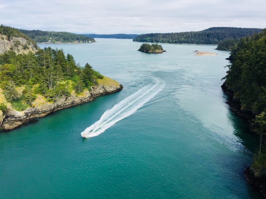 Seattle: Whidbey Island Deception Pass Winter Birding Trip - Activity Logistics