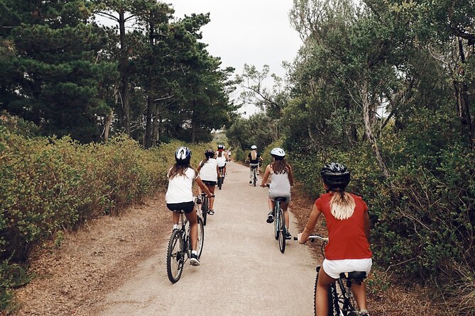 Self-Guided Point Nepean National Park Bike Hire - Logistics and Meeting Point