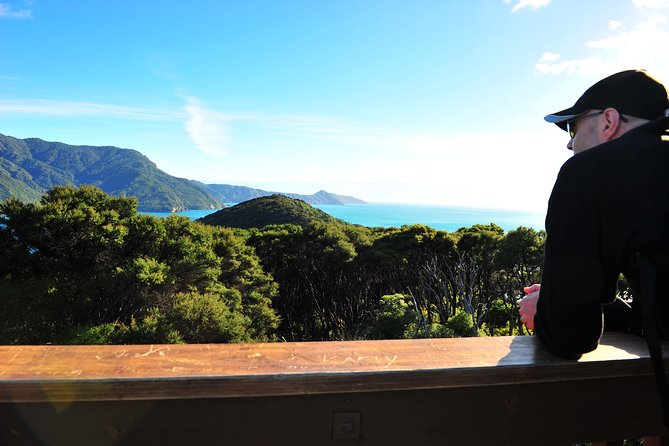 Self-Guided Queen Charlotte Track Walk From Picton - Booking and Reservation Details