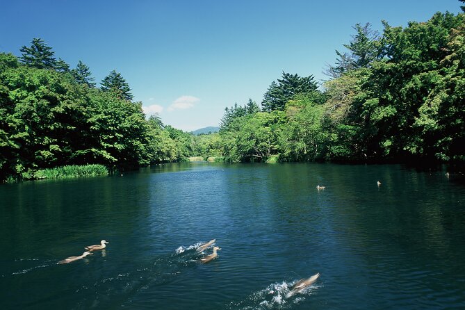 Self Guided Tour in Karuizawa With Bullet Train Ticket - Additional Information