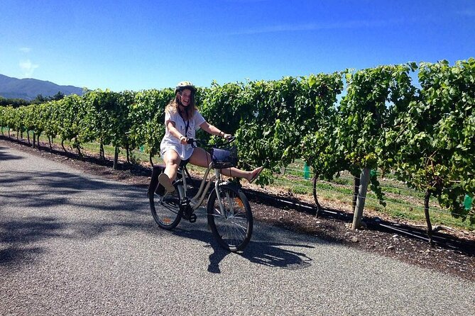 Self-Guided Wine Tours by Bike With Steve & Jo in Marlborough - Tour Experience