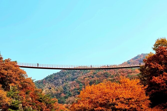 Seoul City and Seasonal Hot Attractions One Day Tour - Weather Contingencies and Refunds