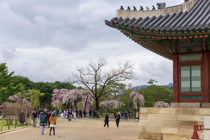 Seoul City Tour - Free Photo Service - Guide and Reviews