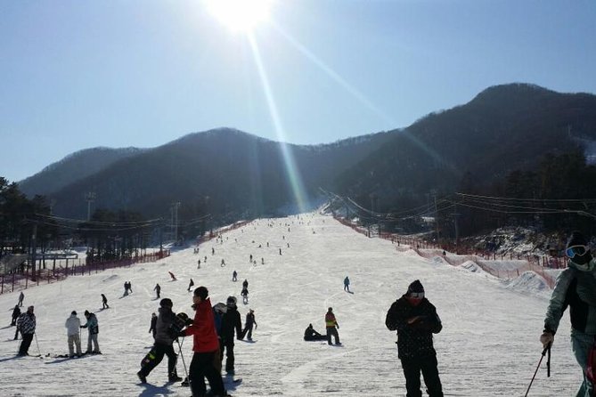 Seoul Ski Tour at Jisan Forest Resort - Reasons to Choose This Tour