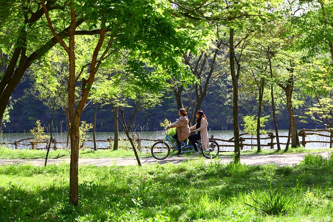 Seoul to Nami Island Round Trip Shuttle Bus Service - Activity End Location