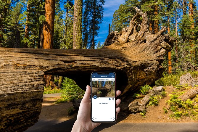 Sequoia & Kings Canyon National Park Self-Driving Audio Tour - Booking and Refund Policies