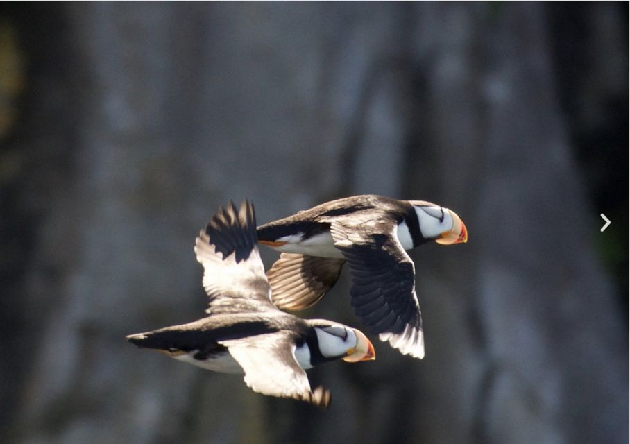 Seward: Kenai Fjords National Park 6-Hour Cruise - Customer Reviews