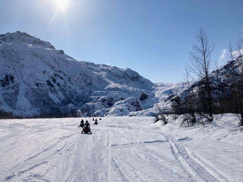 Seward: Kenai Fjords National Park Guided Snowmobiling Tour - Key Highlights