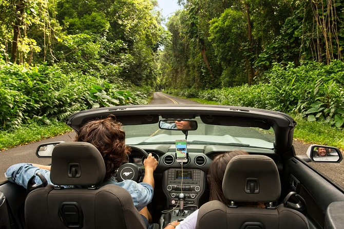 Shaka Guide Maui "Classic" Road to Hana Audio Driving Tour - Host Responses