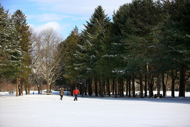 Shared Korean Winter Tour at Nami Island With Professional Guide - Nami Island Exploration