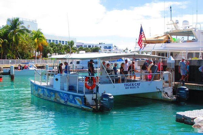 Shark and Wildlife Viewing Adventure in Key West - Visitor Recommendations