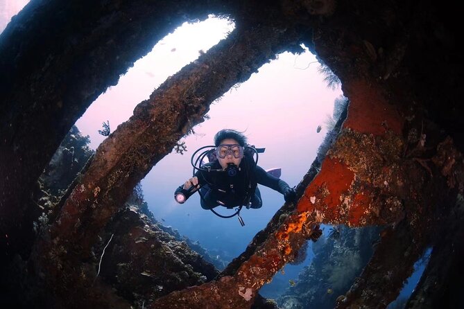 Shipwreck Diving in Tulamben - Marine Life Encountered Underwater