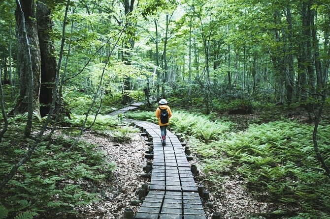 Shirakami-Sanchi: Private Day Hiking Tour  - Aomori Prefecture - Guide Expertise
