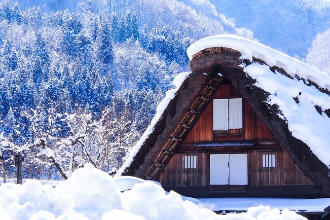 Shirakawa-Go and Hida-Takayama Private Day Trip From Nagoya - Price and Inclusions