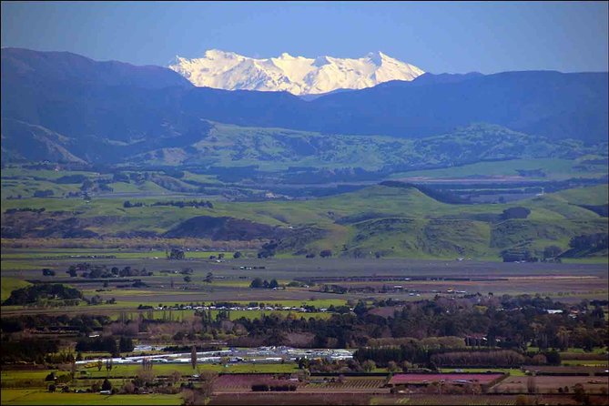 Shore Excursion: 4-Hour Discover Hawkes Bay and Napier Tour - Tour Highlights