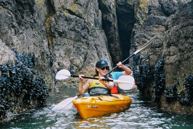 Shore Excursion Guided Sea Kayaking Through Akaroa Marine Reserve - Kayaking Experience