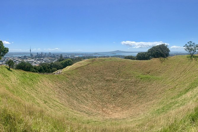 Shore Excursion: Half-Day Auckland Volcanoes Tour - Reviews and Pricing