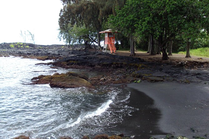 Shore Excursion: Hawaii Volcano Adventure Tour From Hilo - Tour Options
