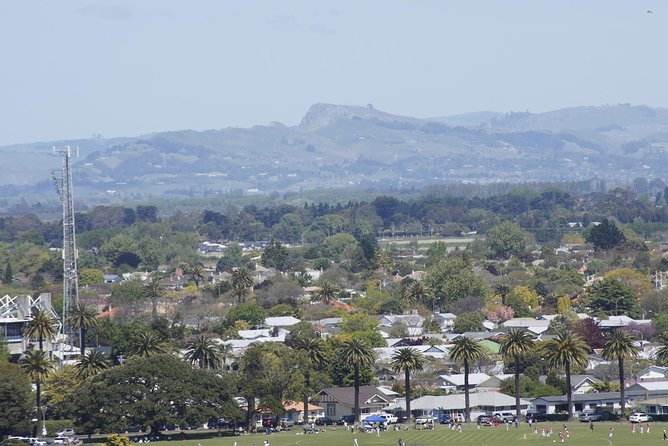 Shore Excursion: Napier and Surrounding Countryside Scenic Tour - Additional Information and Policies
