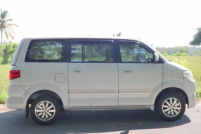 Shore Excursion: Private Bali Car Rental Service - Traveler Photos