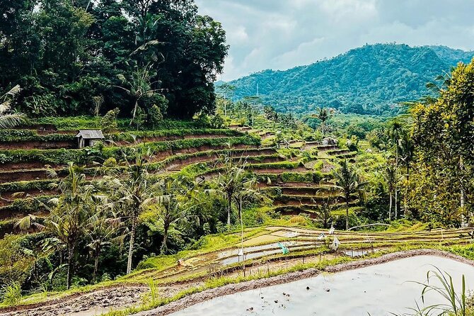 Sidemen Trekking With a Close View of Mt Agung - Review Authenticity